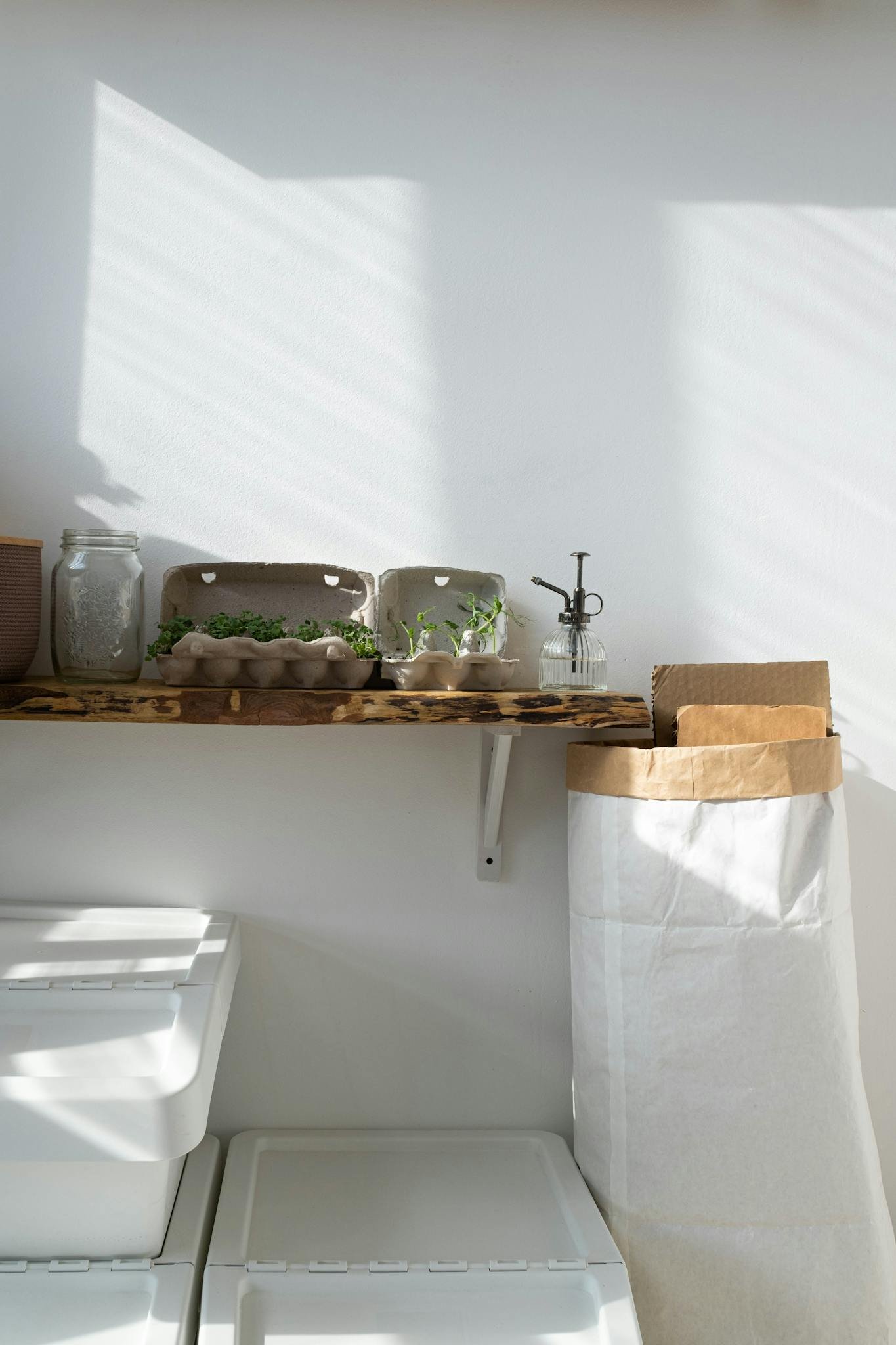 Sustainable indoor gardening with recycled materials and natural light