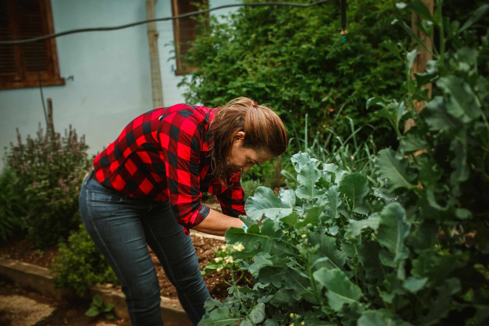 A woman in a red plaid shirt tends to plants in her backyard garden.